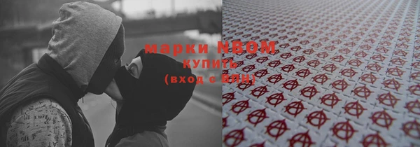 стафф Осинники