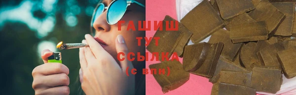 стафф Осинники