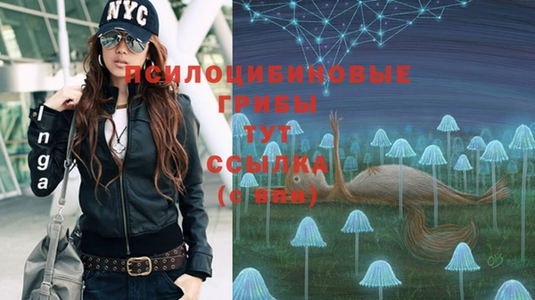 мдпв Нягань