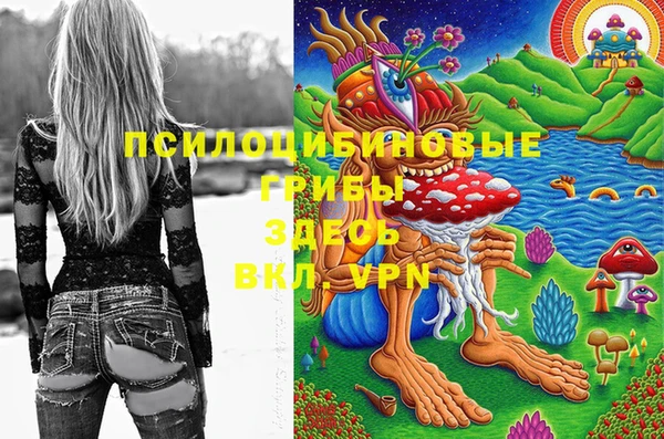 бутик Няндома