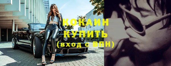стафф Осинники