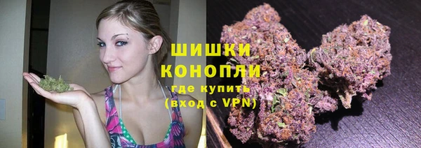 стафф Осинники