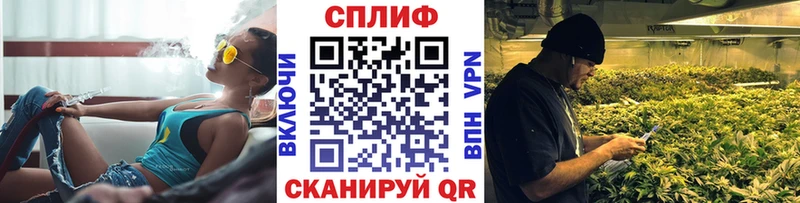 даркнет состав  Нижние Серги  Конопля сатива 